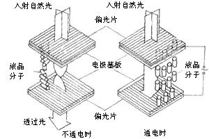 分子的排布與透過光